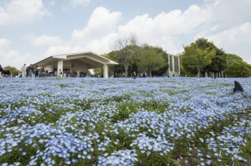 舎人公園