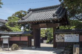 野田散策