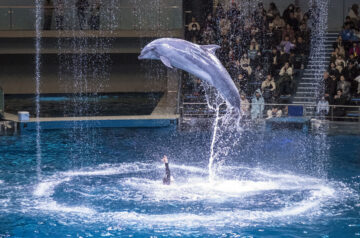 アクアパーク品川