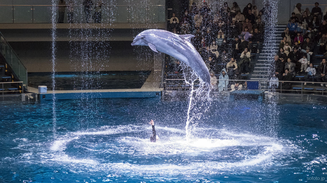 アクアパーク品川