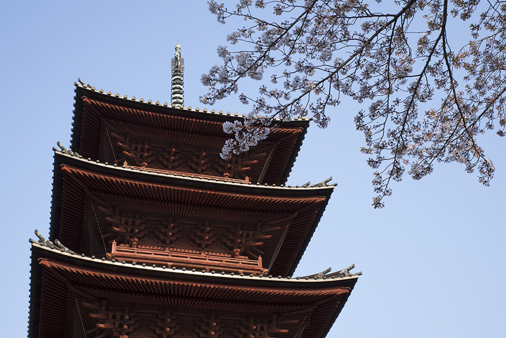 池上本門寺