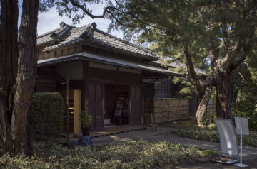 坂川河津桜まつりと戸定邸