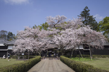 旧吉田家住宅