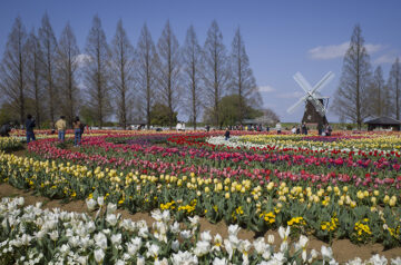 あけぼの山農業公園