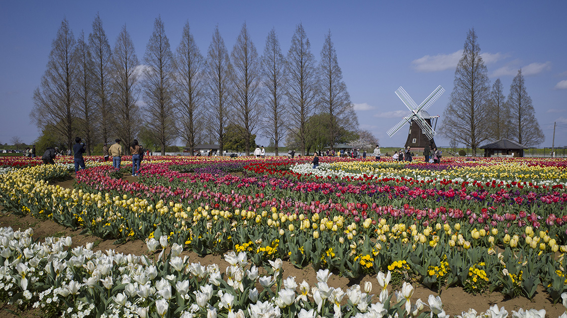 あけぼの山農業公園