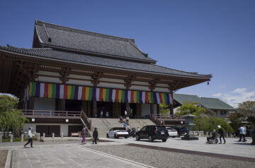 西新井大師の藤と牡丹