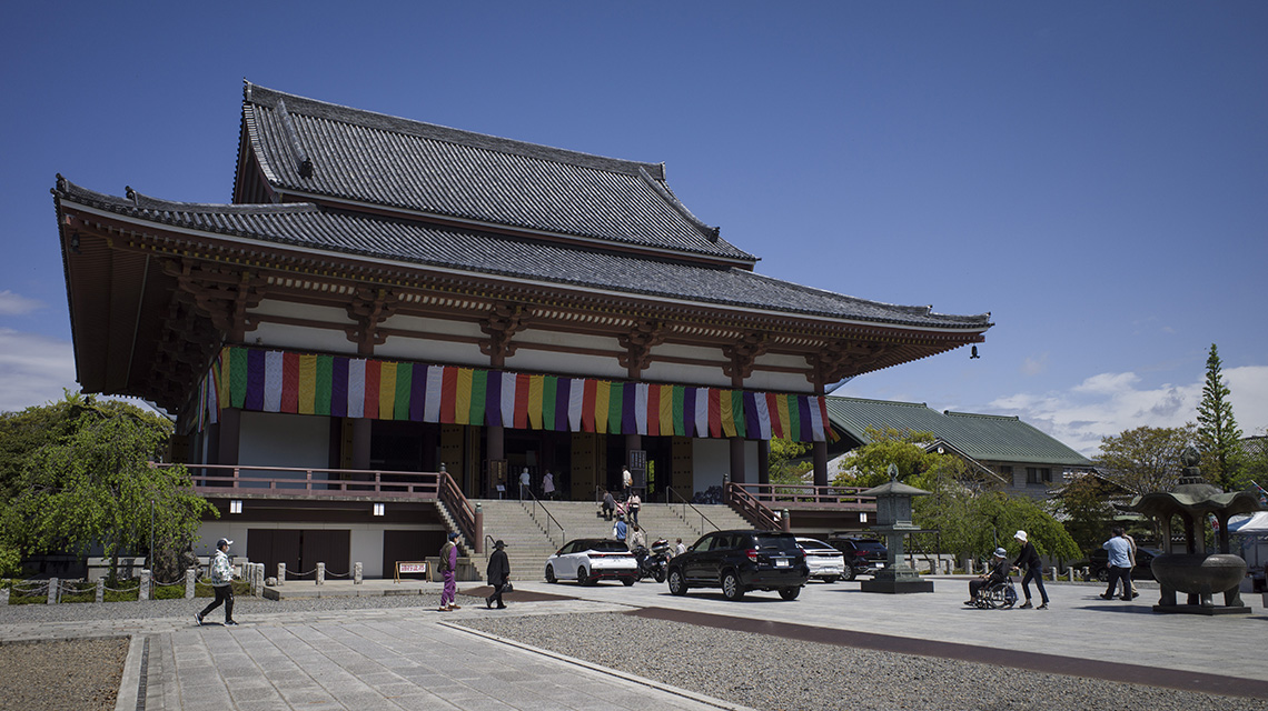 西新井大師の藤と牡丹