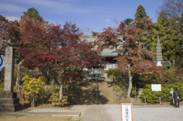 本土寺 あじさいと紅葉