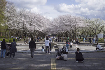 柏の葉公園