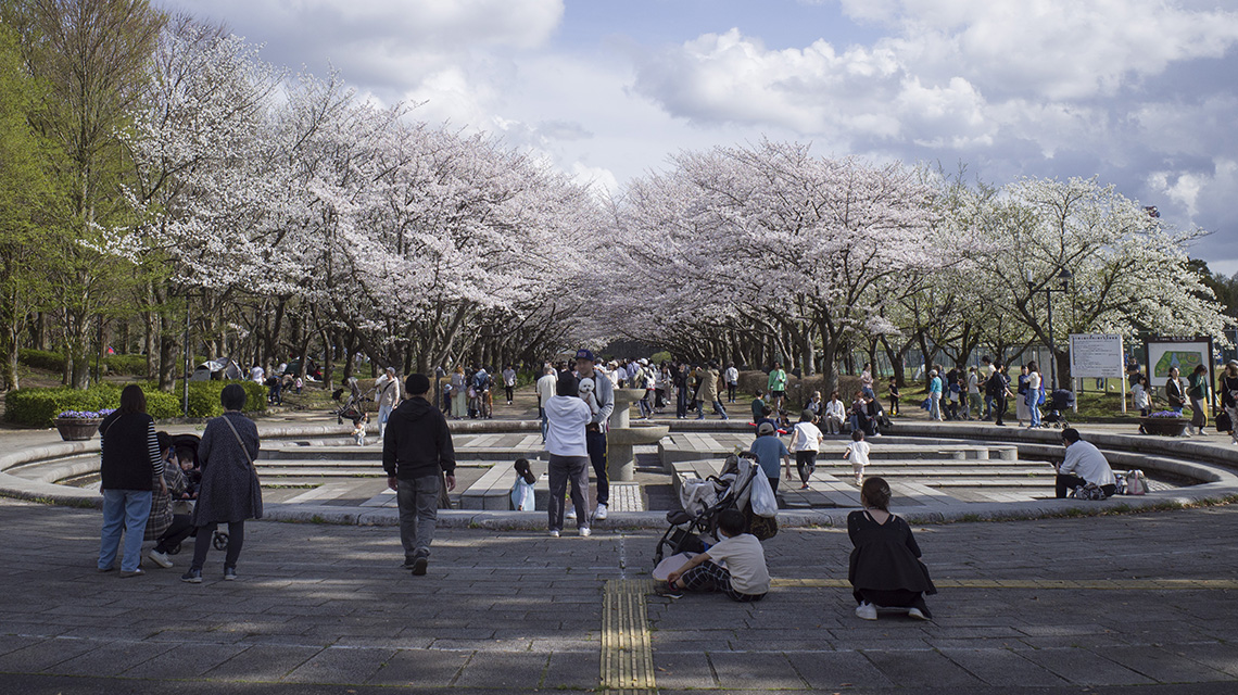 柏の葉公園