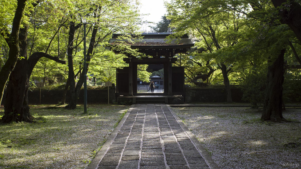 東漸寺