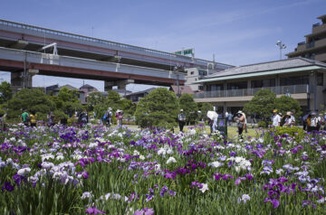 堀切菖蒲園と葛飾区郷土と天文の博物館