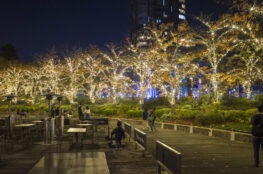 MIDTOWN CHRISTMAS 2025